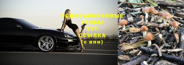 мдпв Арсеньев