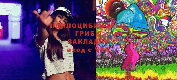 мдпв Арсеньев