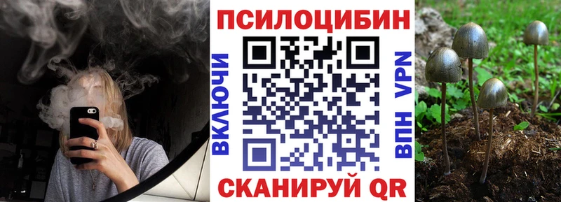 Галлюциногенные грибы GOLDEN TEACHER  Онега 